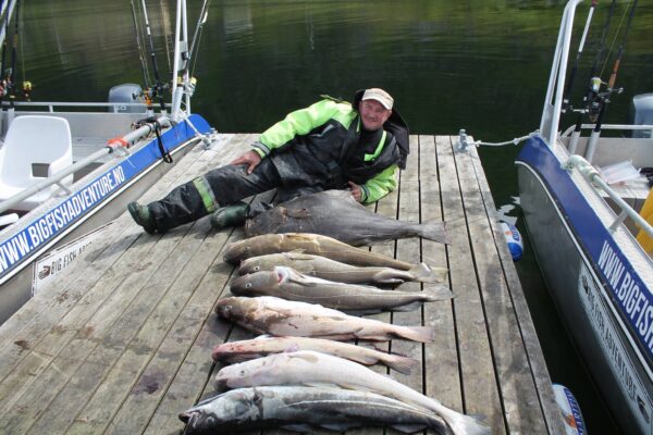 Pomost z rybami w Norwegii